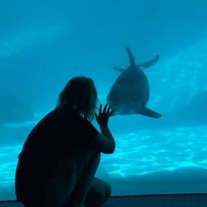 Meet your Posher, Bailey